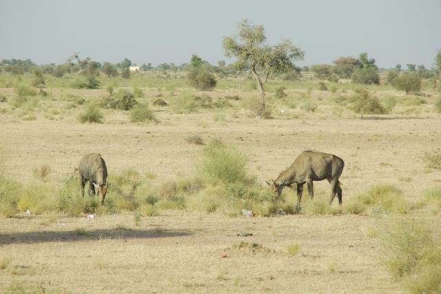 Urlaub in Indien 2016